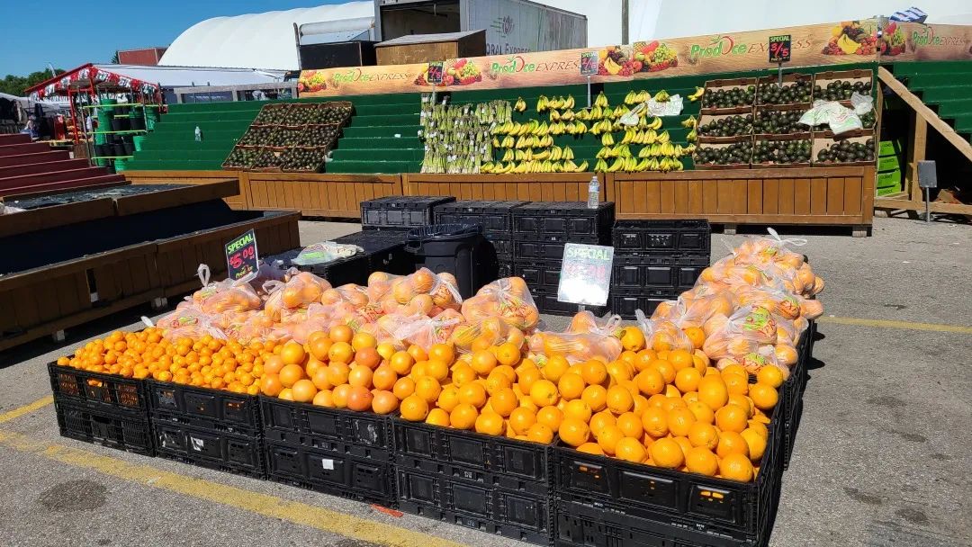 打卡St. Jacobs农贸市场：不吃德国猪蹄，就为赶大集