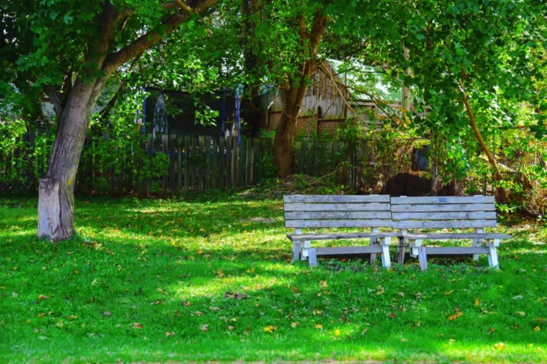 打卡坐蒸汽火车看枫叶：加拿大每个农民都有800亩地？