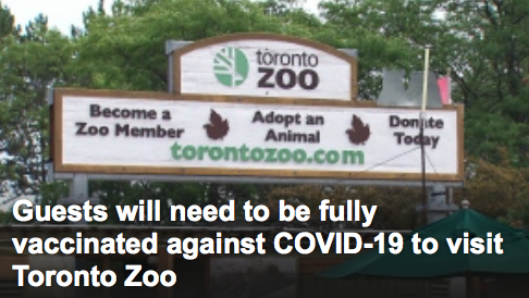 安省新增306例！去多伦多动物园也需要提供疫苗证了！