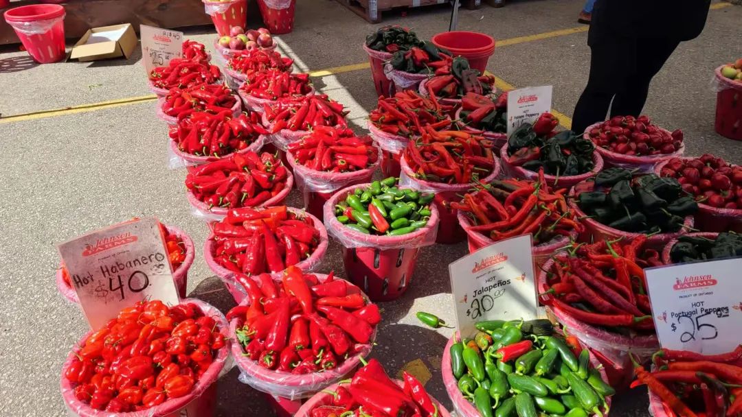 打卡St. Jacobs农贸市场：不吃德国猪蹄，就为赶大集