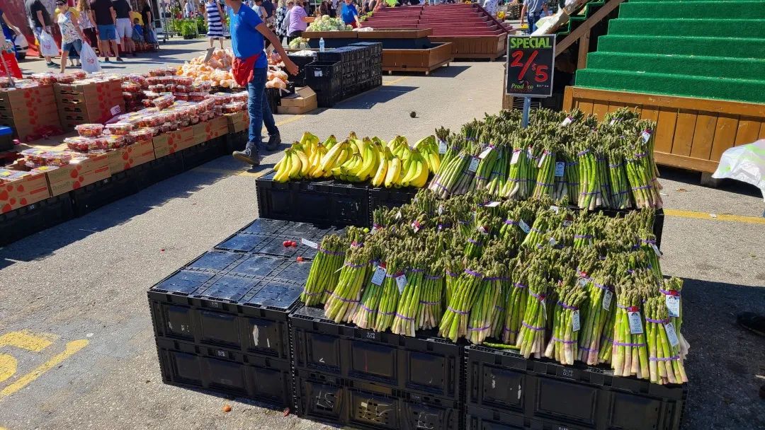 打卡St. Jacobs农贸市场：不吃德国猪蹄，就为赶大集