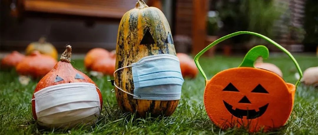 打卡坐蒸汽火车看枫叶：加拿大每个农民都有800亩地？