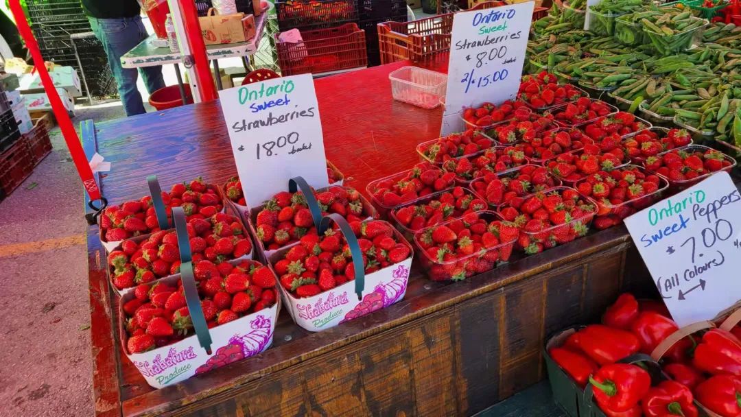 打卡St. Jacobs农贸市场：不吃德国猪蹄，就为赶大集