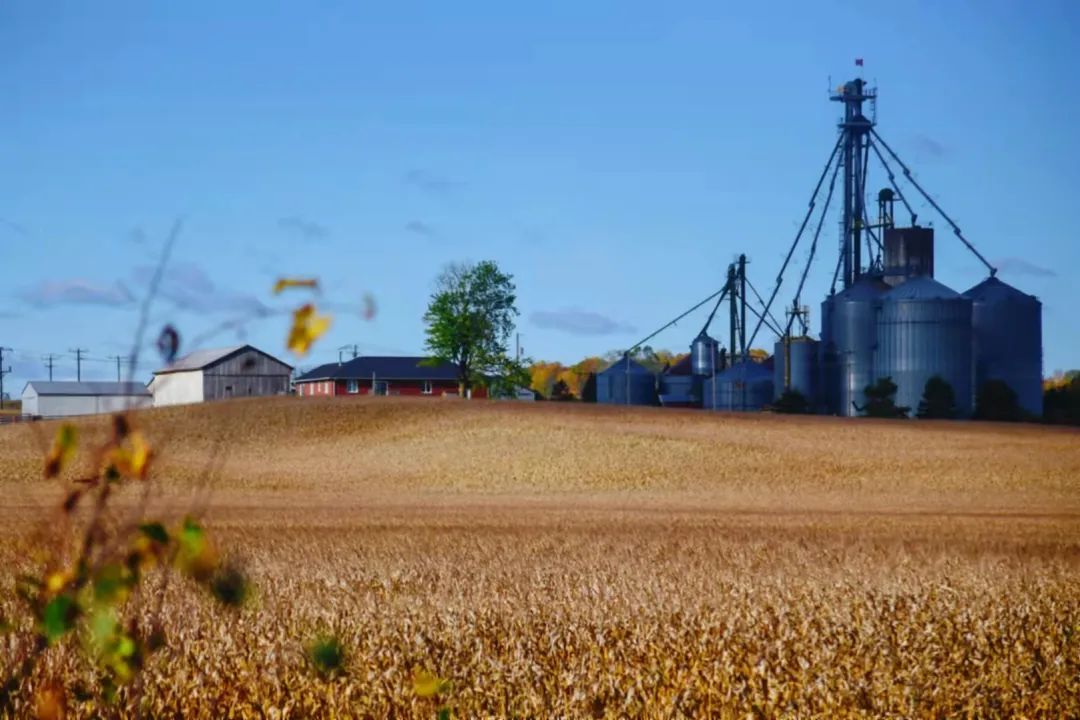 打卡坐蒸汽火车看枫叶：加拿大每个农民都有800亩地？