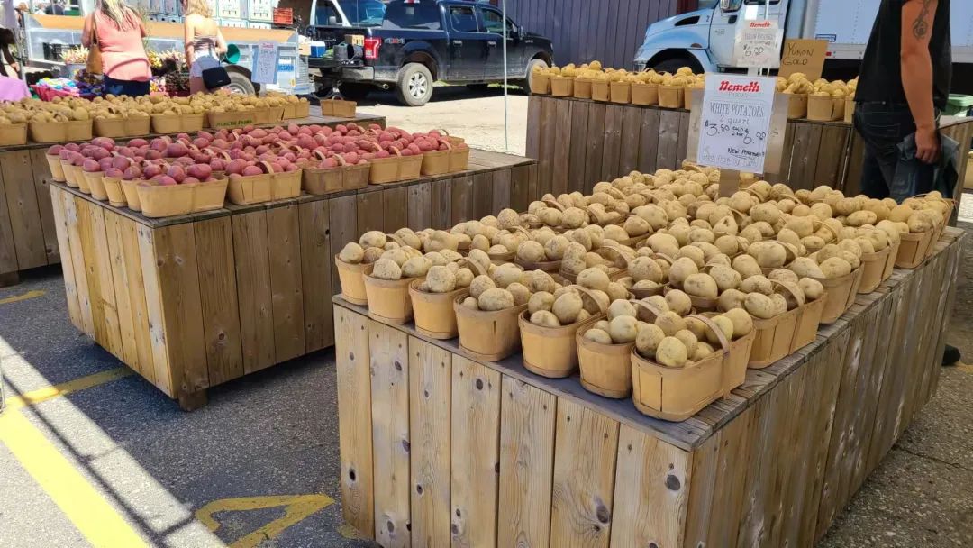 打卡St. Jacobs农贸市场：不吃德国猪蹄，就为赶大集