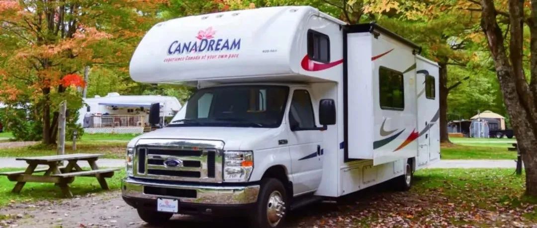 打卡坐蒸汽火车看枫叶：加拿大每个农民都有800亩地？