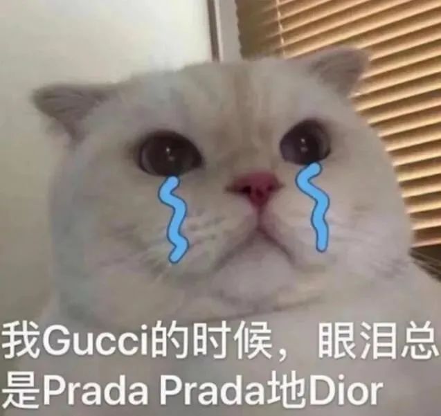 Costco门店实拍:这就是普通的逛超市,普拉达的普~ Costco门店实拍:这就是普通的逛超市,普拉达的普~