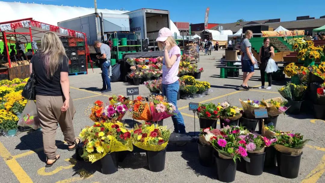 打卡St. Jacobs农贸市场：不吃德国猪蹄，就为赶大集