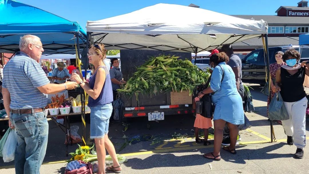 打卡St. Jacobs农贸市场：不吃德国猪蹄，就为赶大集