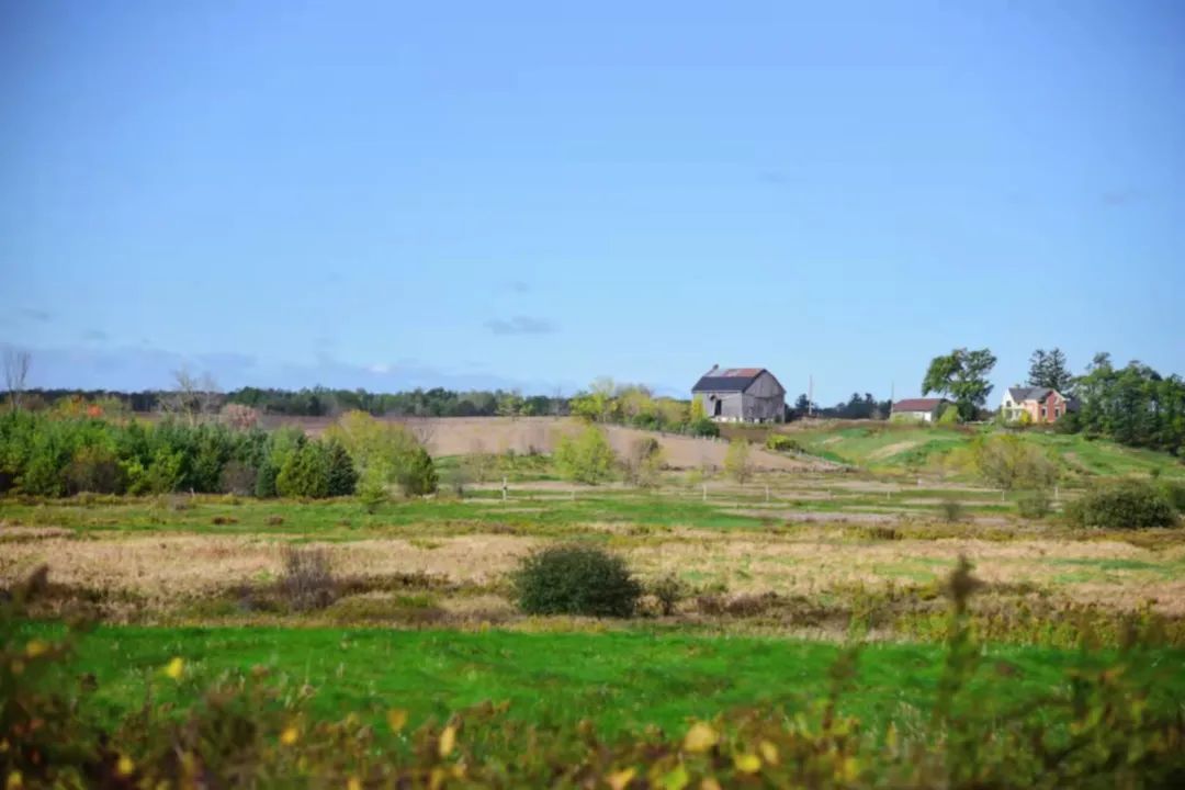 打卡坐蒸汽火车看枫叶：加拿大每个农民都有800亩地？