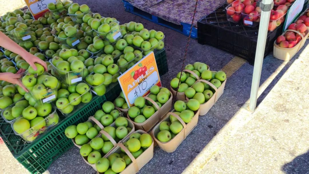 打卡St. Jacobs农贸市场：不吃德国猪蹄，就为赶大集