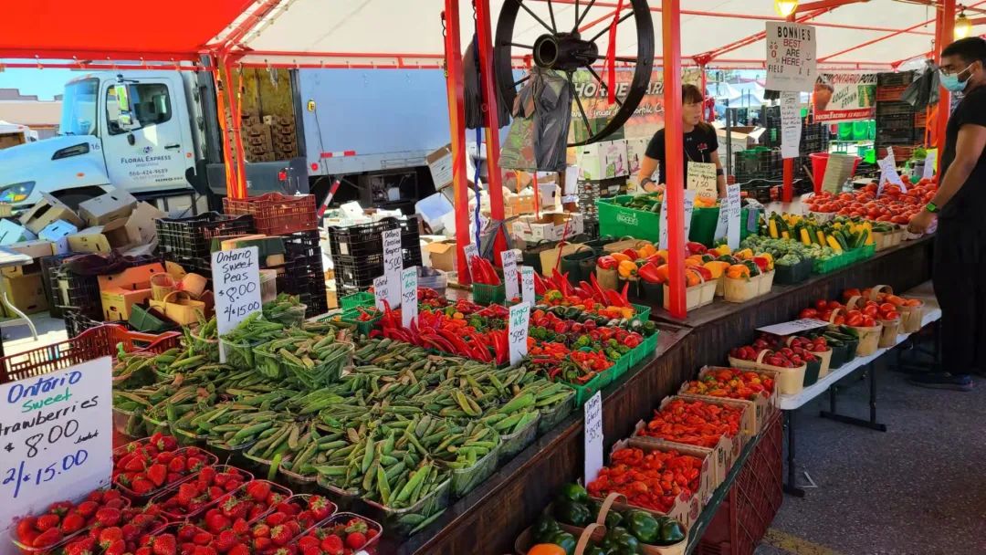 打卡St. Jacobs农贸市场：不吃德国猪蹄，就为赶大集