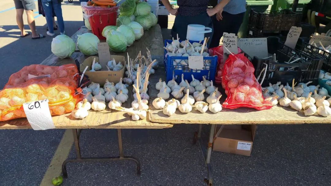 打卡St. Jacobs农贸市场：不吃德国猪蹄，就为赶大集