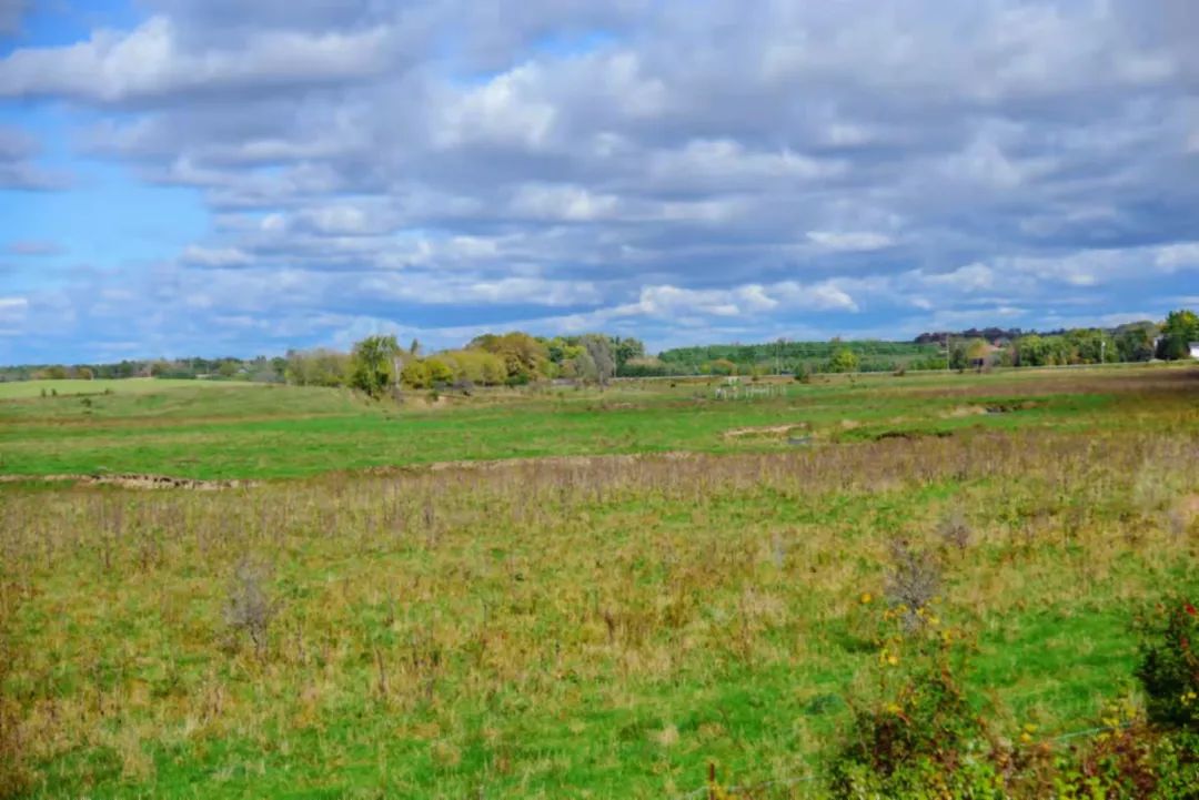 打卡坐蒸汽火车看枫叶：加拿大每个农民都有800亩地？