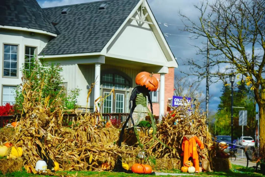 打卡坐蒸汽火车看枫叶：加拿大每个农民都有800亩地？