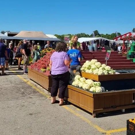 打卡坐蒸汽火车看枫叶：加拿大每个农民都有800亩地？