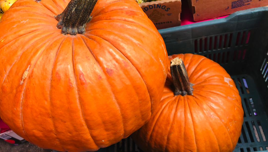 好不容易雕好的南瓜灯烂掉了！你是不是没涂柠檬汁？