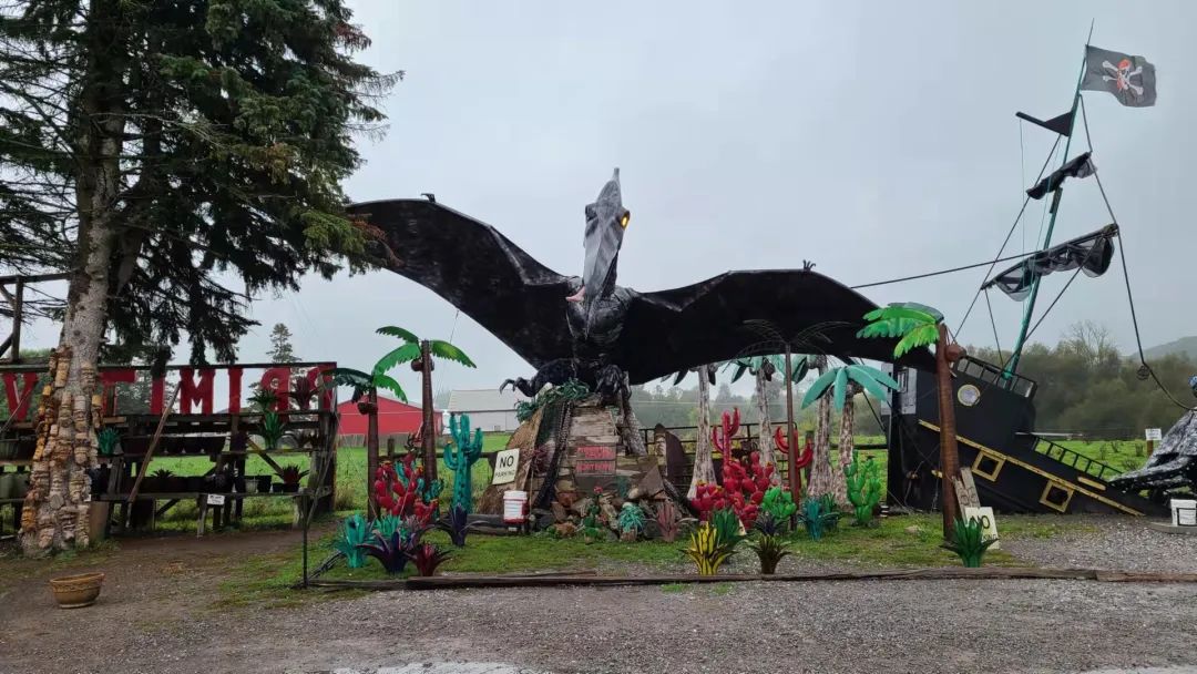 这店有毒！打卡多伦多最奇葩的鬼畜风设计店！辣眼睛又欲罢不能~