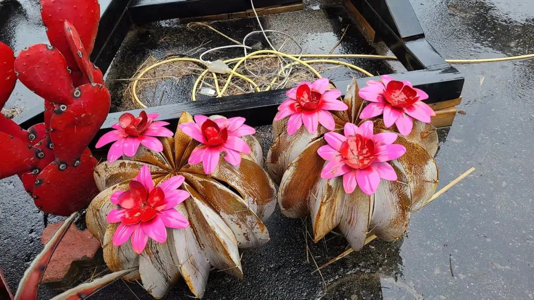 这店有毒！打卡多伦多最奇葩的鬼畜风设计店！辣眼睛又欲罢不能~