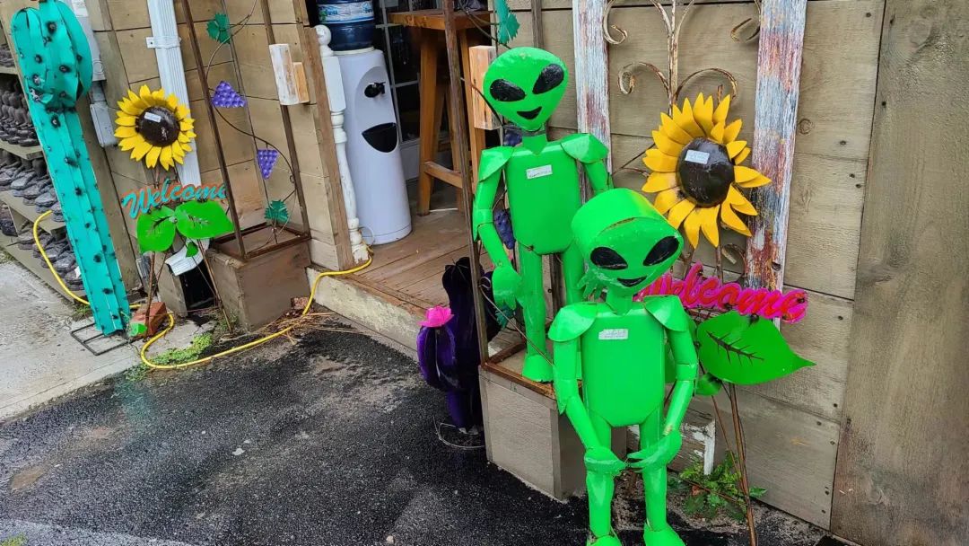 这店有毒！打卡多伦多最奇葩的鬼畜风设计店！辣眼睛又欲罢不能~