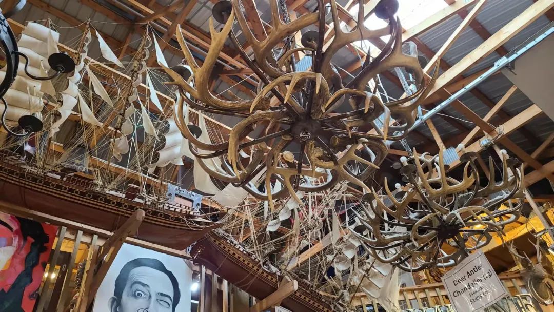 这店有毒！打卡多伦多最奇葩的鬼畜风设计店！辣眼睛又欲罢不能~