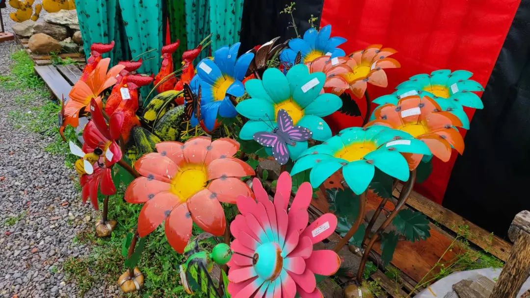 这店有毒！打卡多伦多最奇葩的鬼畜风设计店！辣眼睛又欲罢不能~