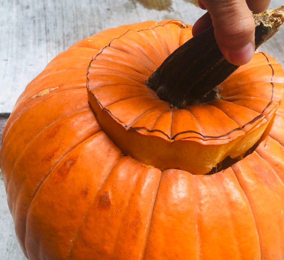 好不容易雕好的南瓜灯烂掉了！你是不是没涂柠檬汁？
