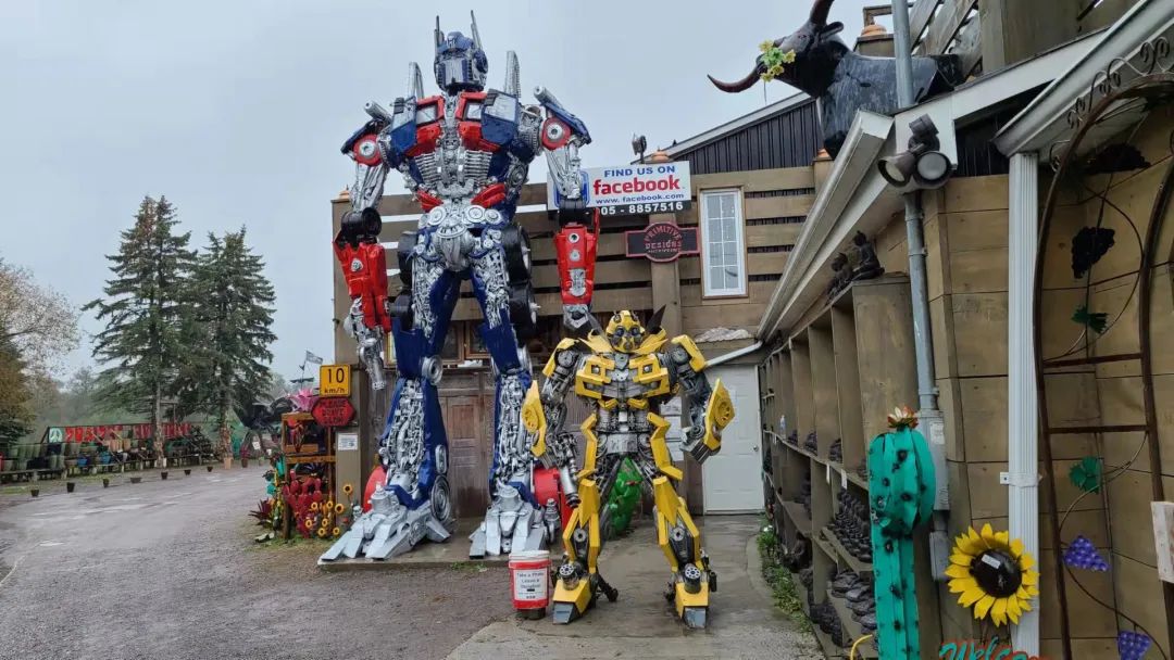 这店有毒！打卡多伦多最奇葩的鬼畜风设计店！辣眼睛又欲罢不能~