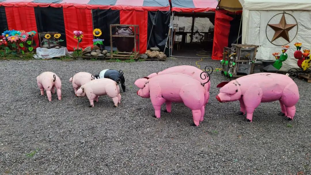 这店有毒！打卡多伦多最奇葩的鬼畜风设计店！辣眼睛又欲罢不能~