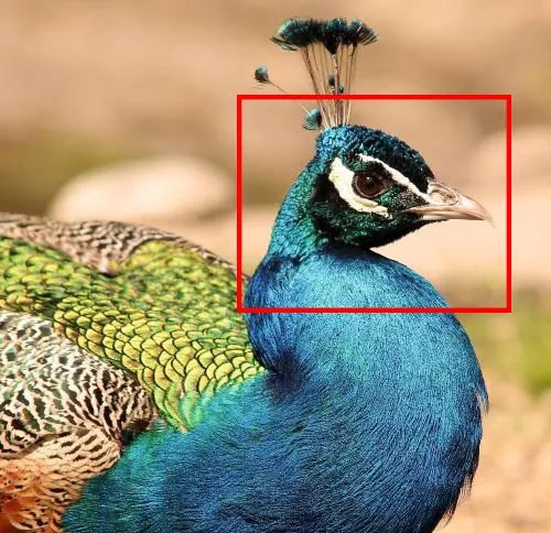 54岁周慧敏近照曝光！女神的保养之道，除了自律就是....