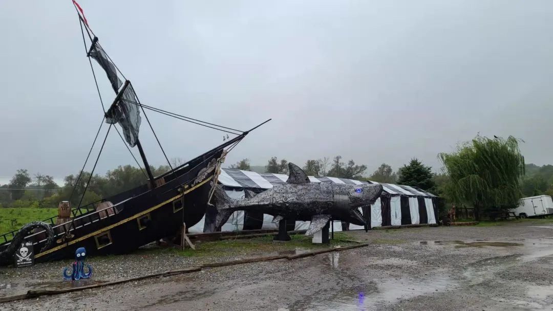 这店有毒！打卡多伦多最奇葩的鬼畜风设计店！辣眼睛又欲罢不能~