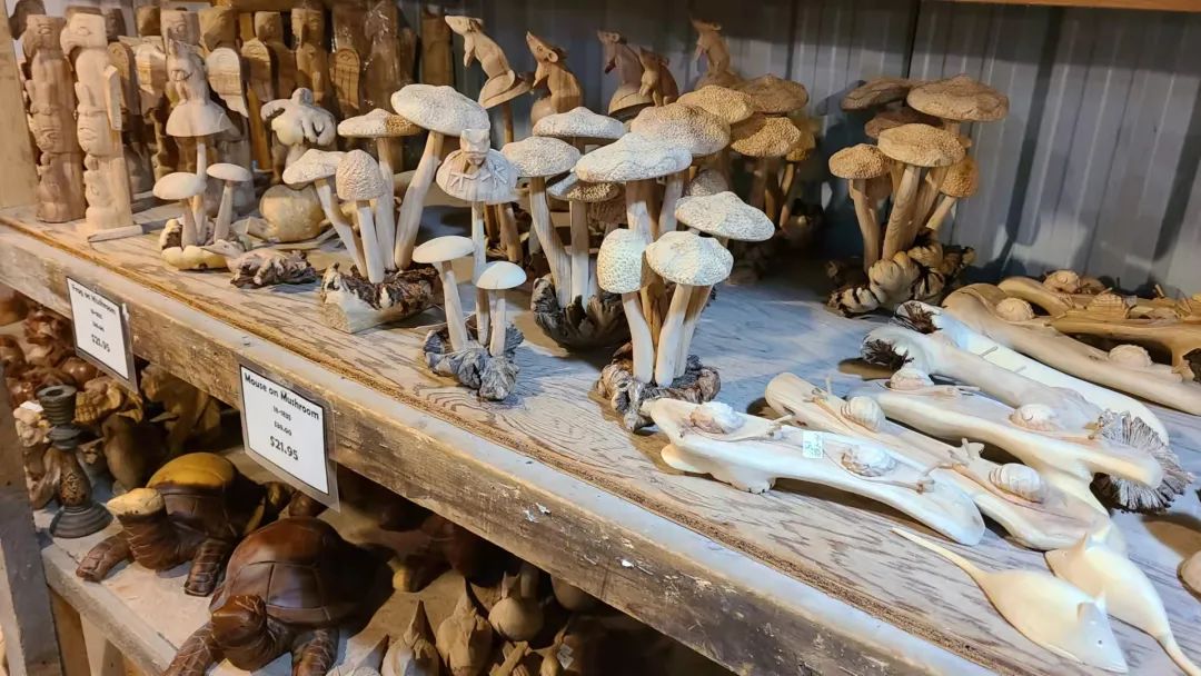 这店有毒！打卡多伦多最奇葩的鬼畜风设计店！辣眼睛又欲罢不能~