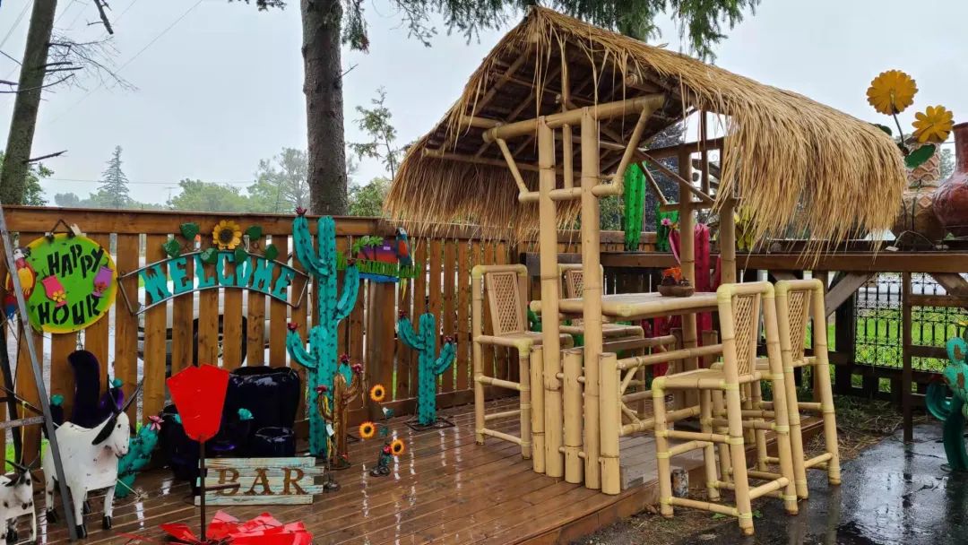 这店有毒！打卡多伦多最奇葩的鬼畜风设计店！辣眼睛又欲罢不能~