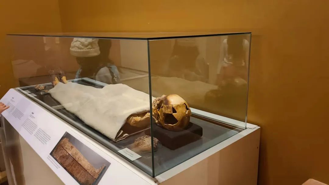 实拍皇家博物馆：打开冬天溜娃的正经方式，不会冻出忧伤！