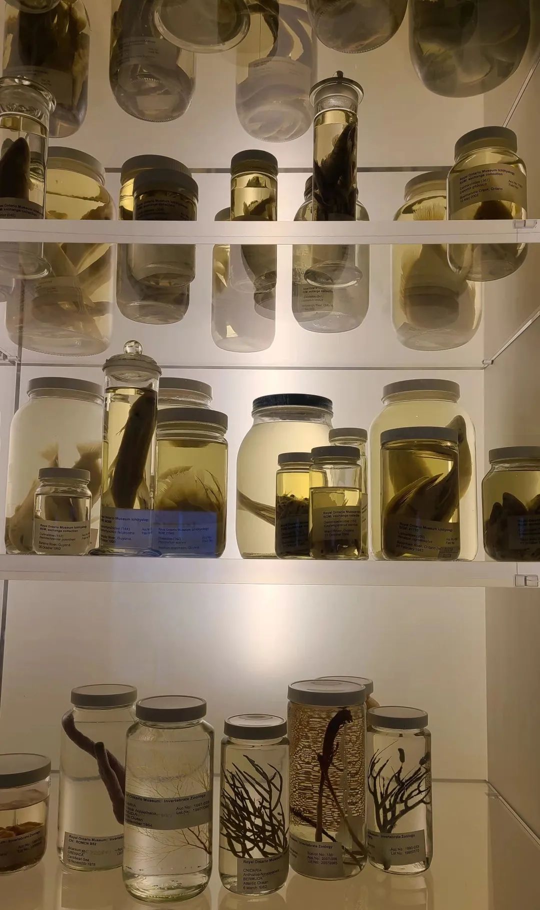 实拍皇家博物馆：打开冬天溜娃的正经方式，不会冻出忧伤！