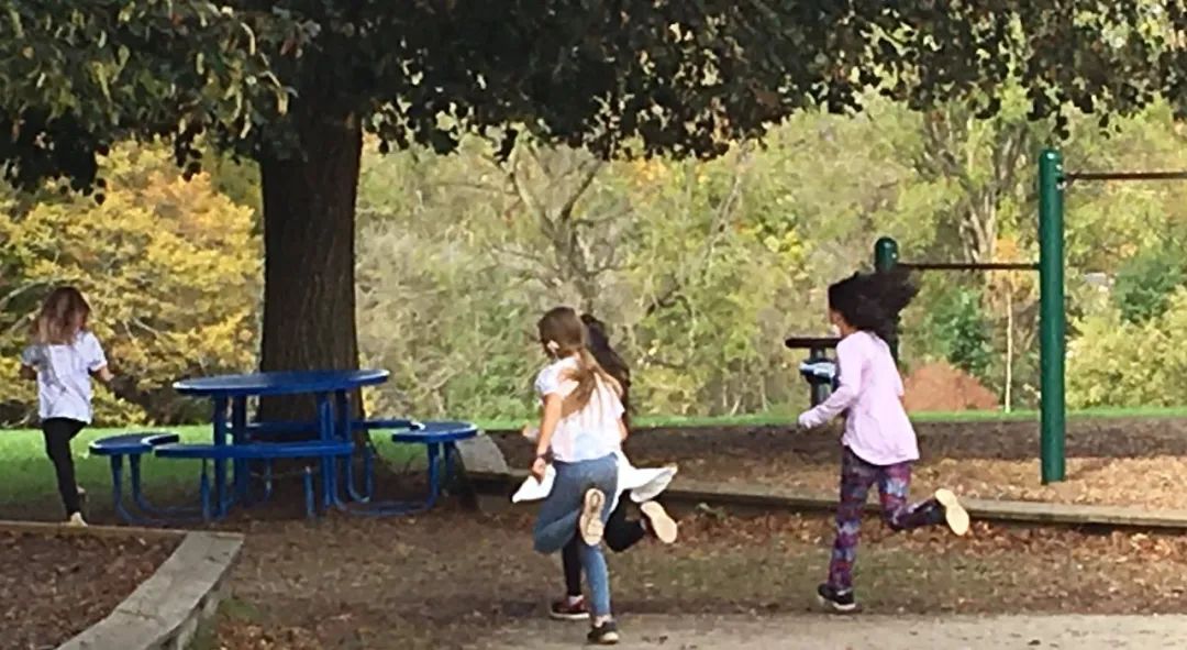 加拿大公立小学每天都在学什么？记录孩子的课堂