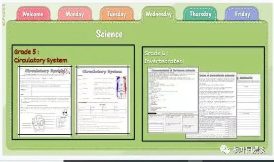 加拿大公立小学每天都在学什么？记录孩子的课堂