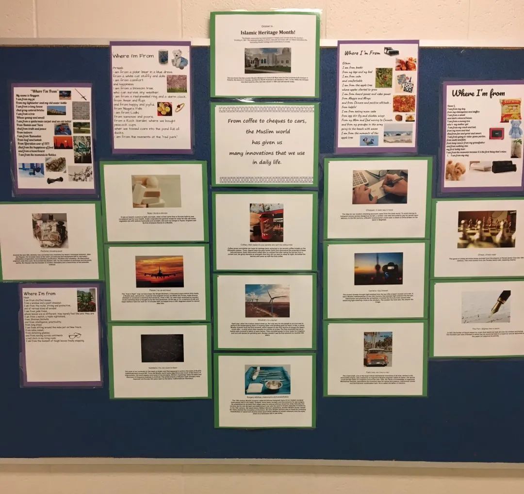 加拿大公立小学每天都在学什么？记录孩子的课堂