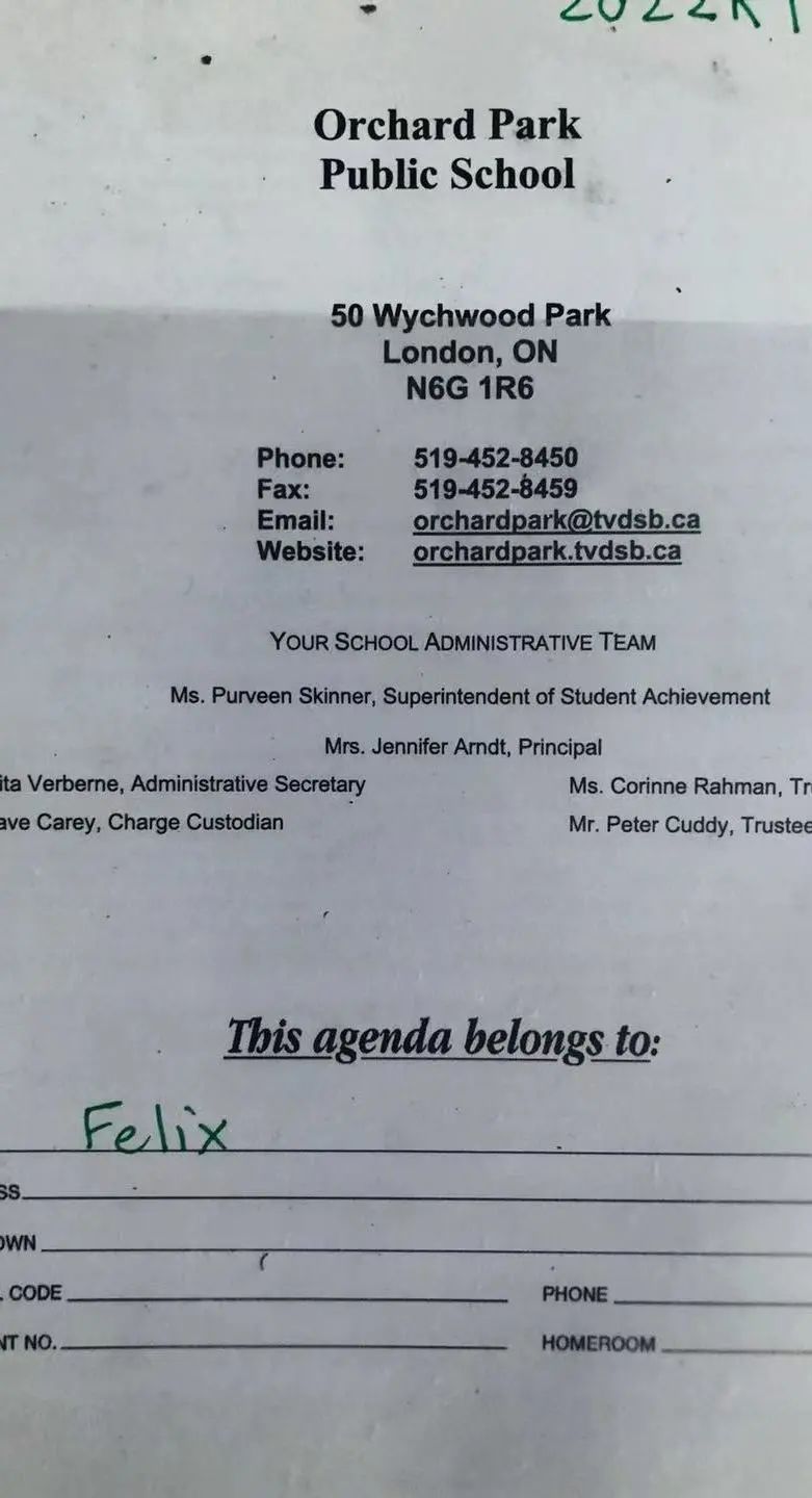 加拿大公立小学每天都在学什么？记录孩子的课堂