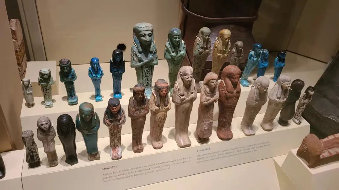 实拍皇家博物馆：打开冬天溜娃的正经方式，不会冻出忧伤！