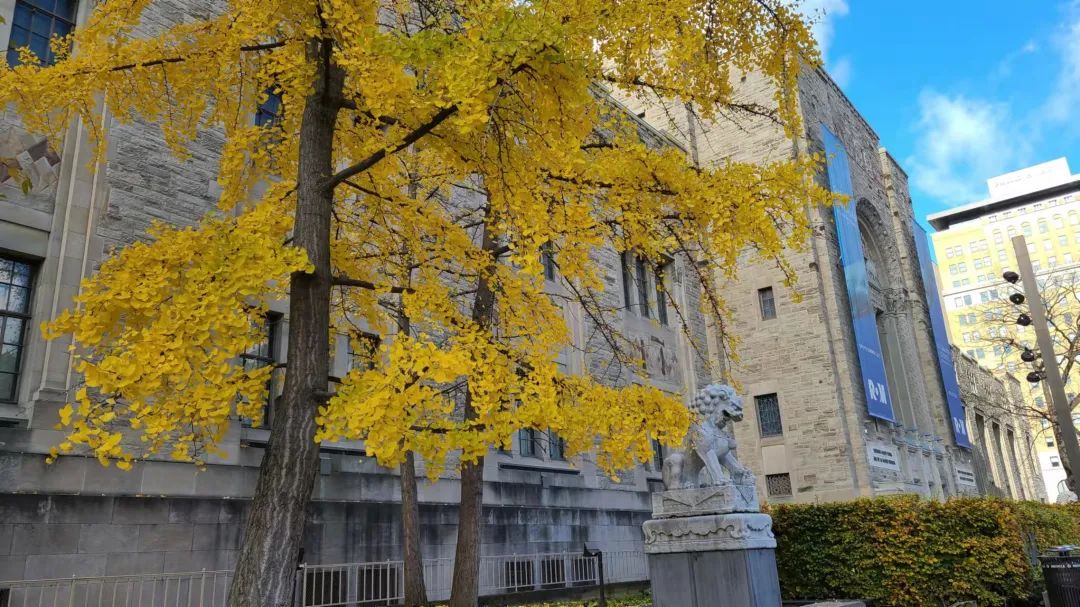 实拍皇家博物馆：打开冬天溜娃的正经方式，不会冻出忧伤！