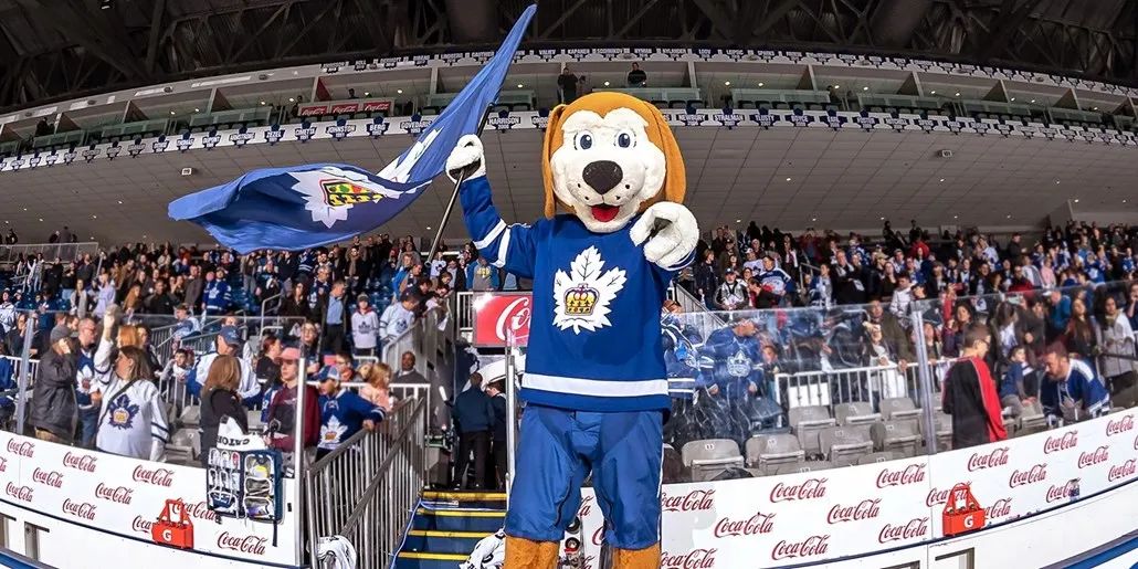 带娃前排看Hockey：没有打架的冰球比赛是不完整的！