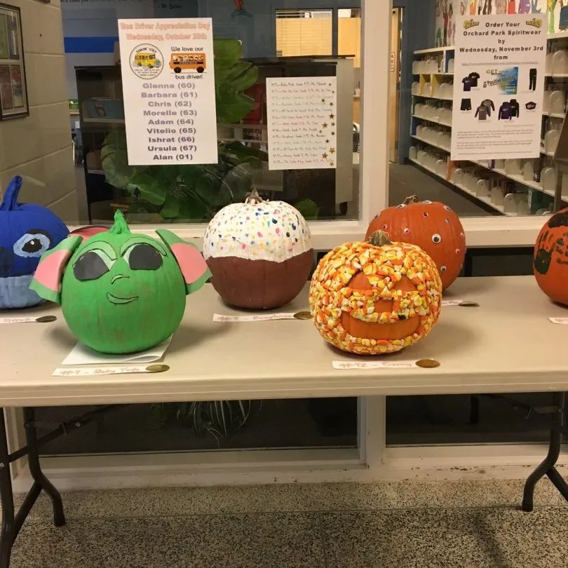 加拿大公立小学每天都在学什么？记录孩子的课堂