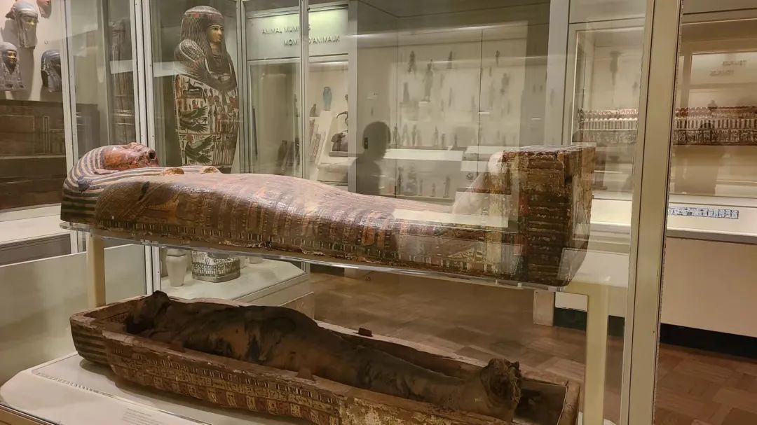 实拍皇家博物馆：打开冬天溜娃的正经方式，不会冻出忧伤！