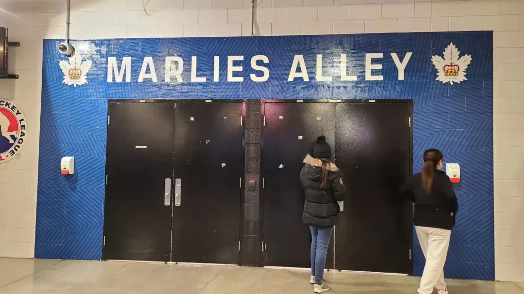 带娃前排看Hockey：没有打架的冰球比赛是不完整的！