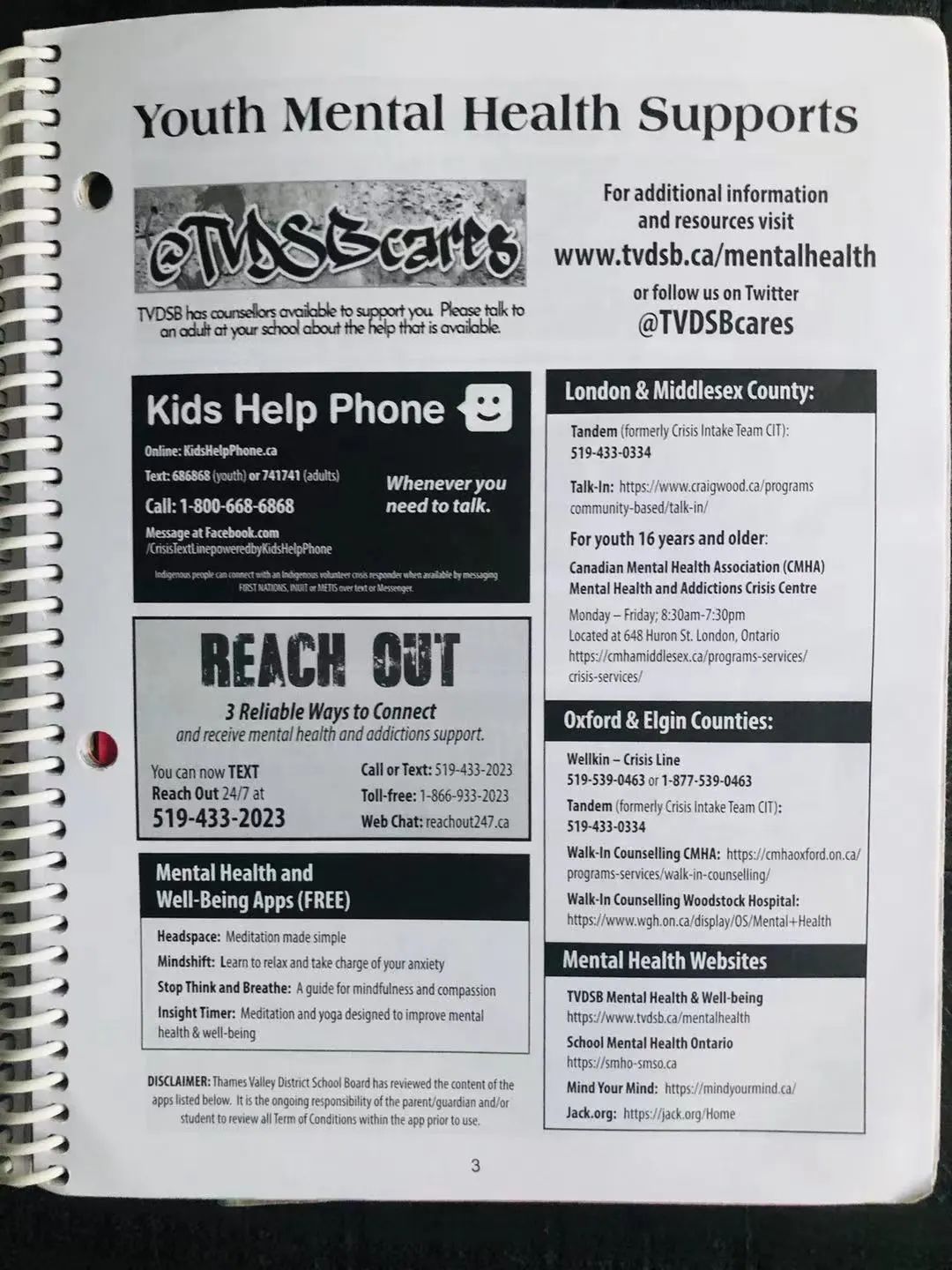 加拿大公立小学每天都在学什么？记录孩子的课堂