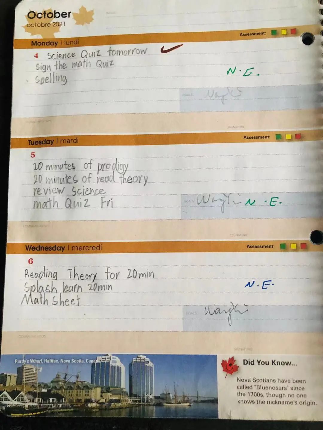 加拿大公立小学每天都在学什么？记录孩子的课堂