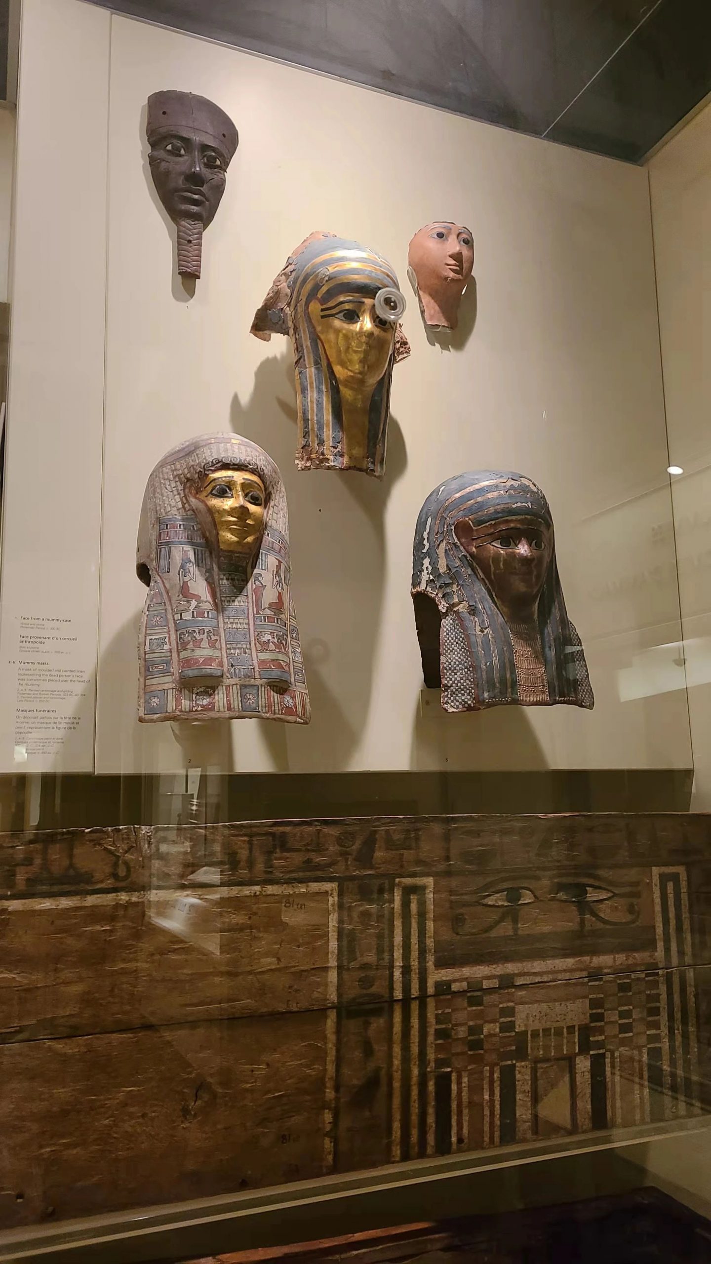 实拍皇家博物馆：打开冬天溜娃的正经方式，不会冻出忧伤！