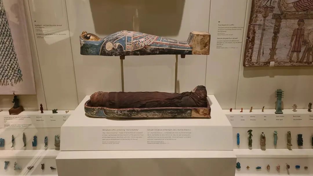 实拍皇家博物馆：打开冬天溜娃的正经方式，不会冻出忧伤！