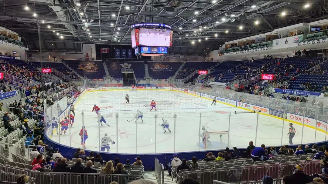 带娃前排看Hockey：没有打架的冰球比赛是不完整的！